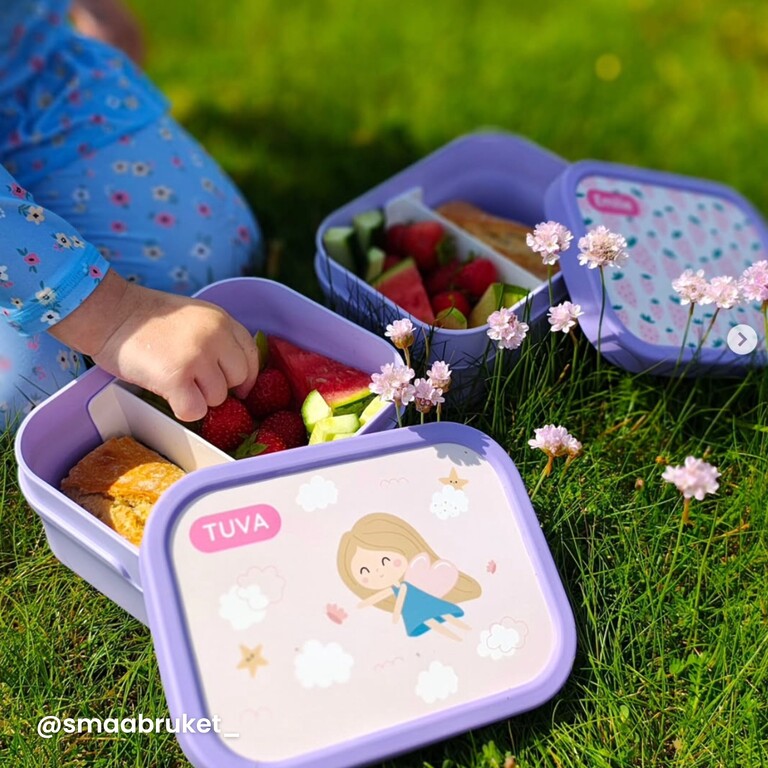 Mädchen sitzt im Gras mit lila Brotdose