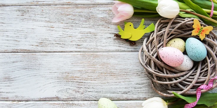 Dekoratives osternest mit bunten eiern und tulpen